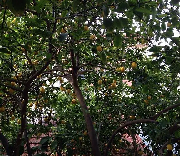 Greece Apartamento *